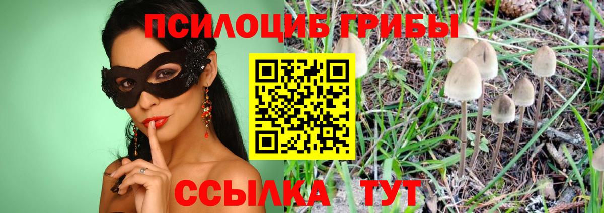 Галлюциногенные грибы мицелий  Псилоцибиновые грибы Magic Shrooms  Артёмовский  Вход с VPN 